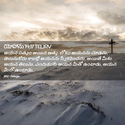 Picture 02 - యోహాను 14:17 TELIRV - ఆయన సత్యం అయిన - Bible Verse Picture