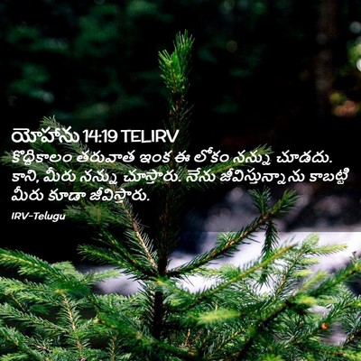 Picture 02 - యోహాను 14:19 TELIRV - కొద్దికాలం తరువాత - Bible Verse Picture