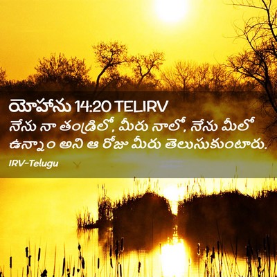 Picture 02 - యోహాను 14:20 TELIRV - నేను నా తండ్రిలో, - Bible Verse Picture