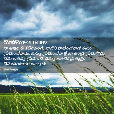 Picture 02 - యోహాను 14:21 TELIRV - నా ఆజ్ఞలను - Bible Verse Picture