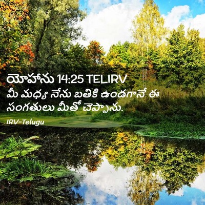 Picture 02 - యోహాను 14:25 TELIRV - మీ మధ్య నేను బతికి - Bible Verse Picture