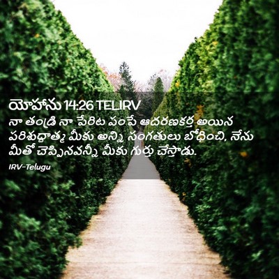 Picture 02 - యోహాను 14:26 TELIRV - నా తండ్రి నా పేరిట - Bible Verse Picture