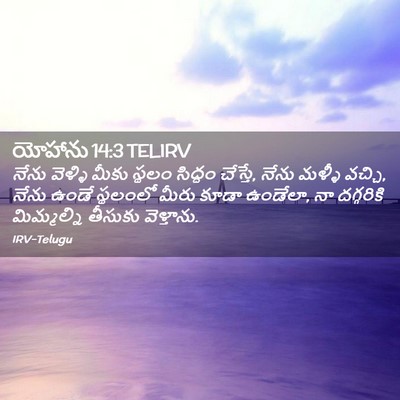 Picture 02 - యోహాను 14:3 TELIRV - నేను వెళ్ళి మీకు - Bible Verse Picture