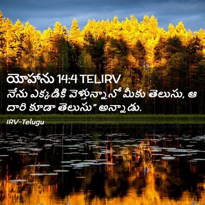 Picture 02 - యోహాను 14:4 TELIRV - నేను ఎక్కడికి - Bible Verse Picture