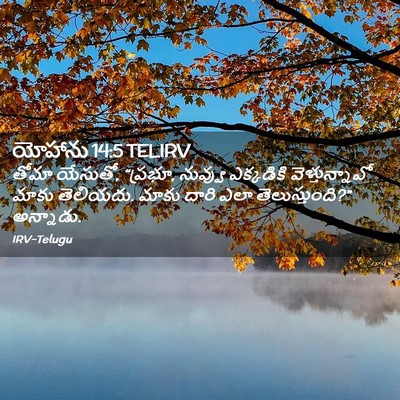 Picture 02 - యోహాను 14:5 TELIRV - తోమా యేసుతో, - Bible Verse Picture