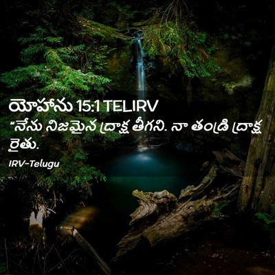 Picture 02 - యోహాను 15:1 TELIRV - “నేను నిజమైన - Bible Verse Picture