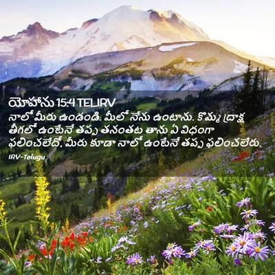 Picture 02 - యోహాను 15:4 TELIRV - నాలో మీరు ఉండండి. - Bible Verse Picture