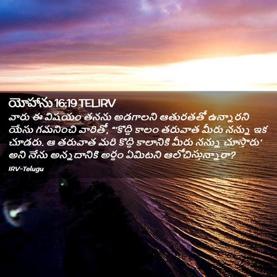 Picture 02 - యోహాను 16:19 TELIRV - వారు ఈ విషయం తనను - Bible Verse Picture