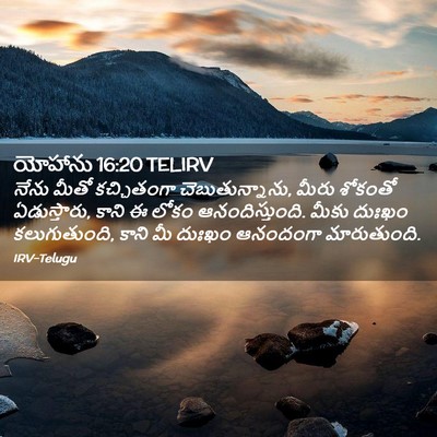 Picture 02 - యోహాను 16:20 TELIRV - నేను మీతో - Bible Verse Picture