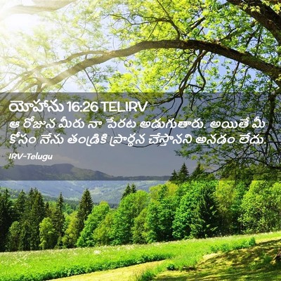 Picture 02 - యోహాను 16:26 TELIRV - ఆ రోజున మీరు నా - Bible Verse Picture