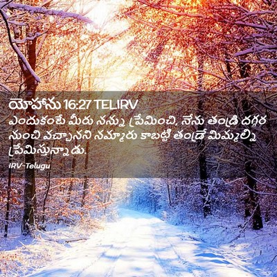 Picture 02 - యోహాను 16:27 TELIRV - ఎందుకంటే మీరు - Bible Verse Picture