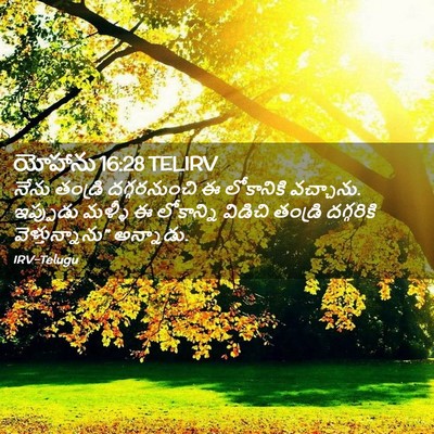 Picture 02 - యోహాను 16:28 TELIRV - నేను తండ్రి - Bible Verse Picture