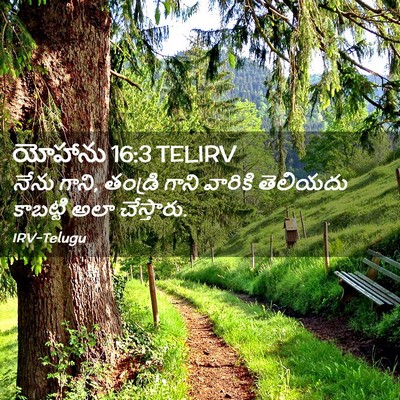 Picture 02 - యోహాను 16:3 TELIRV - నేను గాని, తండ్రి - Bible Verse Picture