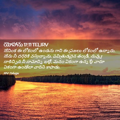 Picture 02 - యోహాను 17:11 TELIRV - నేనింక ఈ లోకంలో - Bible Verse Picture