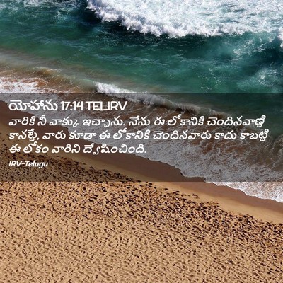Picture 02 - యోహాను 17:14 TELIRV - వారికి నీ వాక్కు - Bible Verse Picture