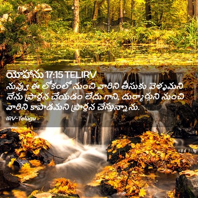 Picture 02 - యోహాను 17:15 TELIRV - నువ్వు ఈ లోకంలో - Bible Verse Picture