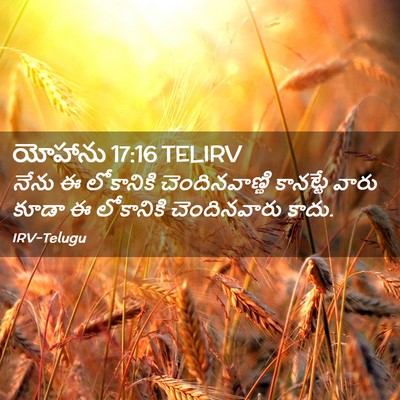 Picture 02 - యోహాను 17:16 TELIRV - నేను ఈ లోకానికి - Bible Verse Picture