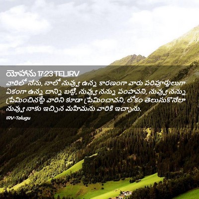 Picture 02 - యోహాను 17:23 TELIRV - వారిలో నేను, నాలో - Bible Verse Picture