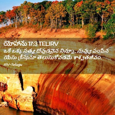 Picture 02 - యోహాను 17:3 TELIRV - ఒకే ఒక్క సత్య - Bible Verse Picture