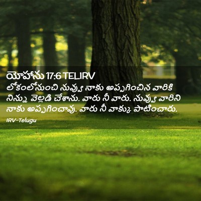 Picture 02 - యోహాను 17:6 TELIRV - లోకంలోనుంచి - Bible Verse Picture