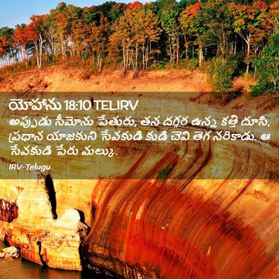 Picture 02 - యోహాను 18:10 TELIRV - అప్పుడు సీమోను - Bible Verse Picture
