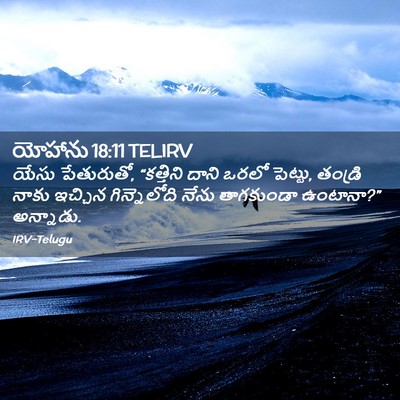 Picture 02 - యోహాను 18:11 TELIRV - యేసు పేతురుతో, - Bible Verse Picture