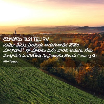 Picture 02 - యోహాను 18:21 TELIRV - నువ్వు నన్ను - Bible Verse Picture