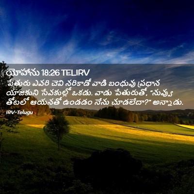 Picture 02 - యోహాను 18:26 TELIRV - పేతురు ఎవరి చెవి - Bible Verse Picture