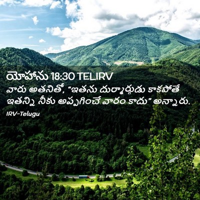 Picture 02 - యోహాను 18:30 TELIRV - వారు అతనితో, “ఇతను - Bible Verse Picture