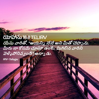 Picture 02 - యోహాను 18:8 TELIRV - యేసు వారితో, - Bible Verse Picture