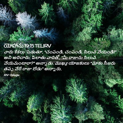 Picture 02 - యోహాను 19:15 TELIRV - వారు కేకలు పెడుతూ, - Bible Verse Picture