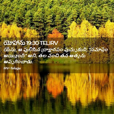 Picture 02 - యోహాను 19:30 TELIRV - యేసు, ఆ పులిసిన - Bible Verse Picture