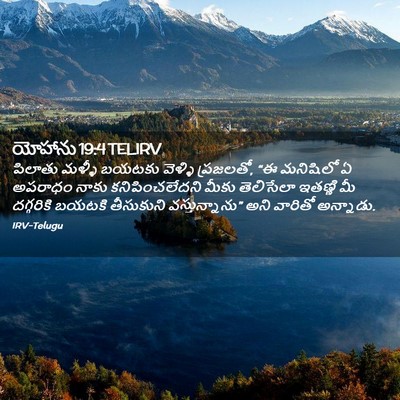 Picture 02 - యోహాను 19:4 TELIRV - పిలాతు మళ్ళీ - Bible Verse Picture