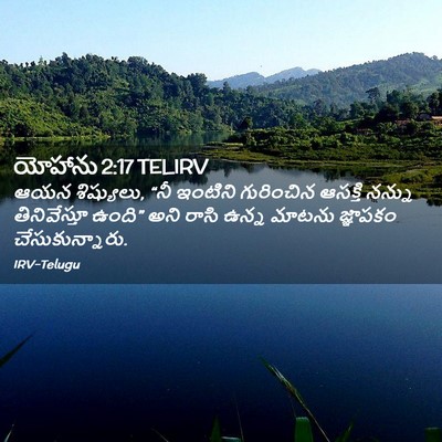 Picture 02 - యోహాను 2:17 TELIRV - ఆయన శిష్యులు, “నీ - Bible Verse Picture