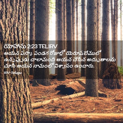 Picture 02 - యోహాను 2:23 TELIRV - ఆయన పస్కా పండగ - Bible Verse Picture