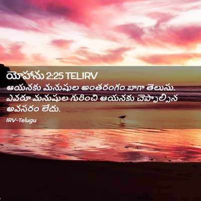 Picture 02 - యోహాను 2:25 TELIRV - ఆయనకు మనుషుల - Bible Verse Picture