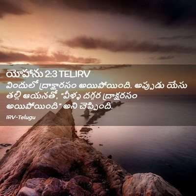 Picture 02 - యోహాను 2:3 TELIRV - విందులో - Bible Verse Picture