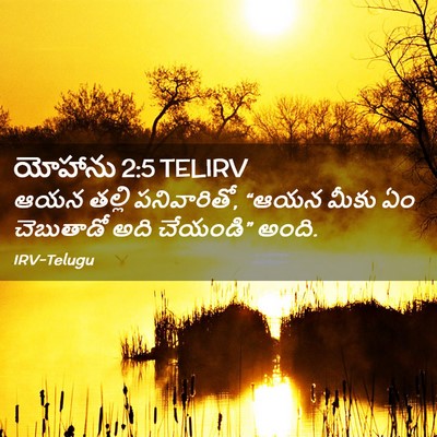 Picture 02 - యోహాను 2:5 TELIRV - ఆయన తల్లి - Bible Verse Picture
