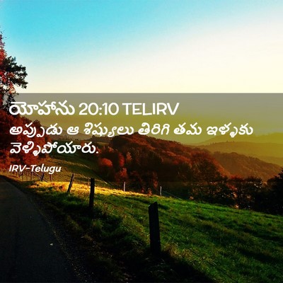 Picture 02 - యోహాను 20:10 TELIRV - అప్పుడు ఆ - Bible Verse Picture