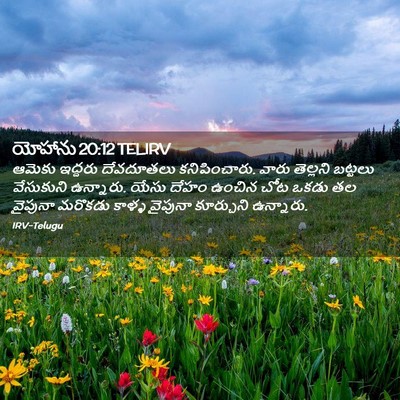 Picture 02 - యోహాను 20:12 TELIRV - ఆమెకు ఇద్దరు - Bible Verse Picture