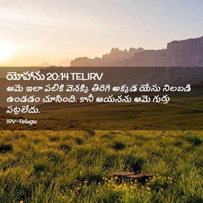 Picture 02 - యోహాను 20:14 TELIRV - ఆమె ఇలా పలికి - Bible Verse Picture