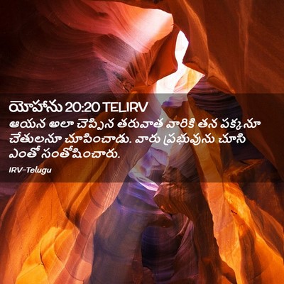 Picture 02 - యోహాను 20:20 TELIRV - ఆయన అలా చెప్పిన - Bible Verse Picture
