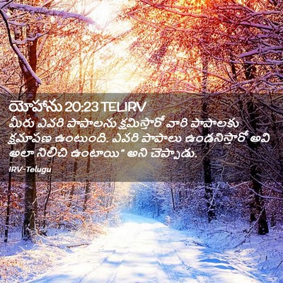 Picture 02 - యోహాను 20:23 TELIRV - మీరు ఎవరి పాపాలను - Bible Verse Picture