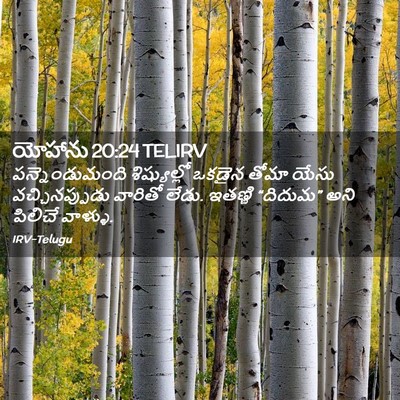 Picture 02 - యోహాను 20:24 TELIRV - పన్నెండుమంది - Bible Verse Picture