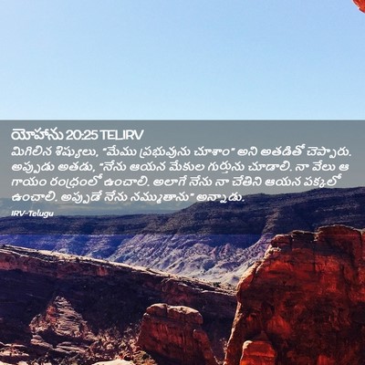 Picture 02 - యోహాను 20:25 TELIRV - మిగిలిన శిష్యులు, - Bible Verse Picture