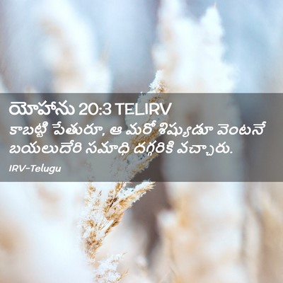 Picture 02 - యోహాను 20:3 TELIRV - కాబట్టి పేతురూ, ఆ - Bible Verse Picture