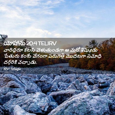 Picture 02 - యోహాను 20:4 TELIRV - వారిద్దరూ కలసి - Bible Verse Picture
