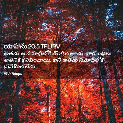 Picture 02 - యోహాను 20:5 TELIRV - అతడు ఆ సమాధిలోకి - Bible Verse Picture