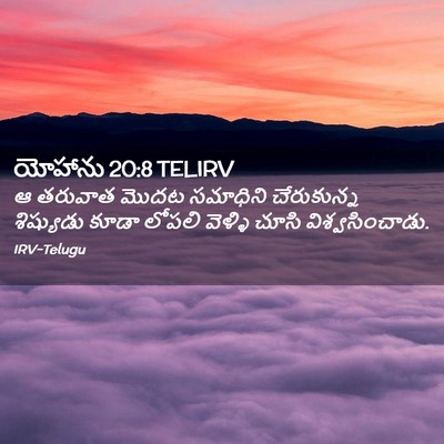 Picture 02 - యోహాను 20:8 TELIRV - ఆ తరువాత మొదట - Bible Verse Picture