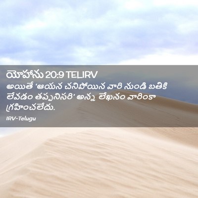 Picture 02 - యోహాను 20:9 TELIRV - అయితే ‘ఆయన - Bible Verse Picture